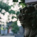 東京の縁結びで有名な神社・大宮八幡宮で小さいおじさんの目撃情報が後を絶たない。