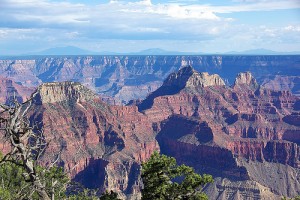 3883509590_f25b08810e