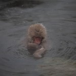 千葉県富津市にある温泉「海辺の湯」は東京湾が一望できる素敵なスポット！
