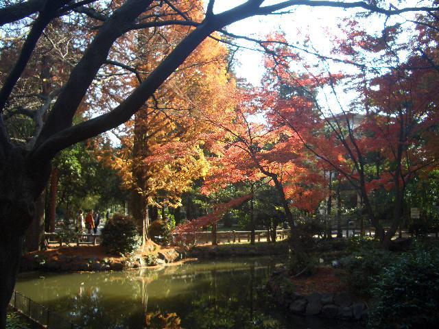 129125505294116325727