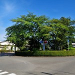 東京 観光の穴場!【秋編】人混みが苦手な人へ送る5つのスポット!