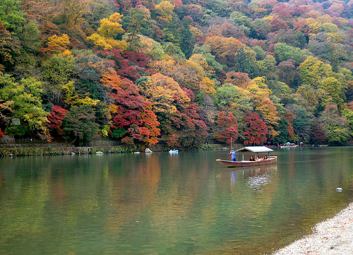 305475962_6a487ae137