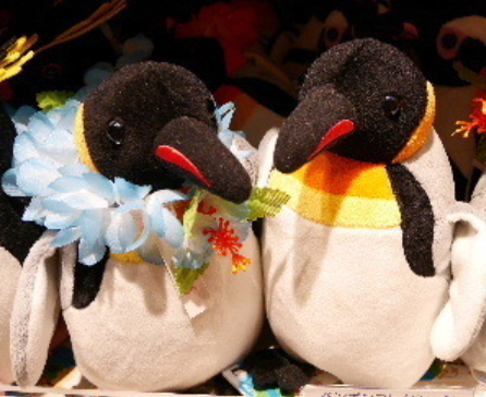 512d93f27d9b80b1e396c3a9dce42975