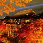 京都の紅葉が観れるオススメ人気場所3選！見頃の時期は11月中旬！