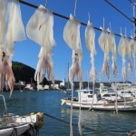 シルバーウィークの穴場【九州編】人気おすすめスポットはこちら！