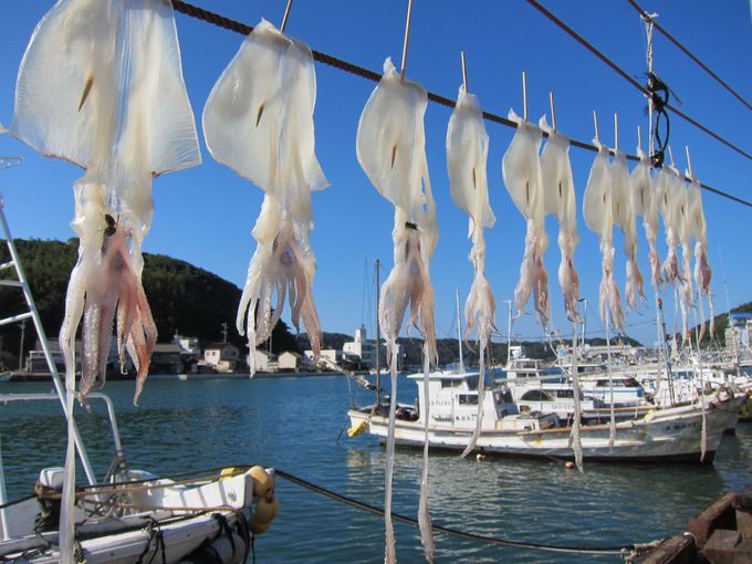 089CA25787DC4CEA9AFB9F6942ADA59F_L