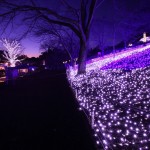 クリスマスデートの穴場スポットをご紹介【関東編】