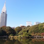 新宿御苑の紅葉!2015年の見頃は11月上旬から。開園時間についてもご紹介。