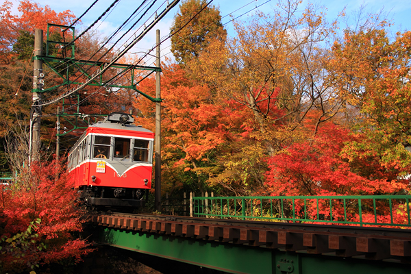  ªoRS¹E­¤ÌX