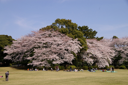 2369837219_e596e145cc