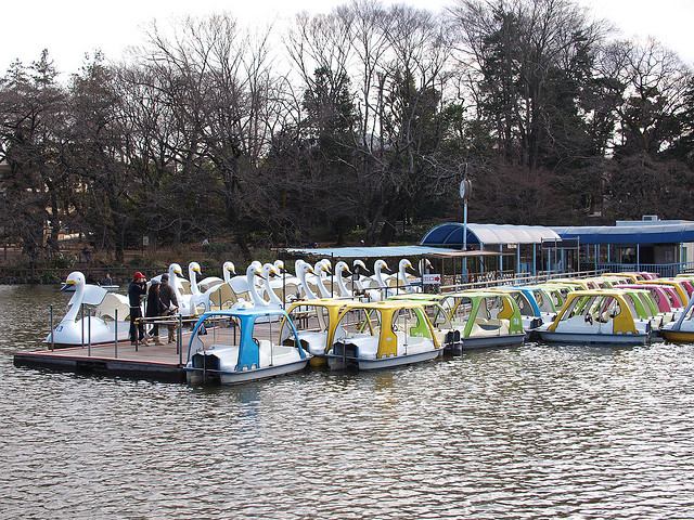 3284369532_3a18093b08_z