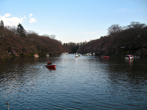 3489570745_da4f9716b0