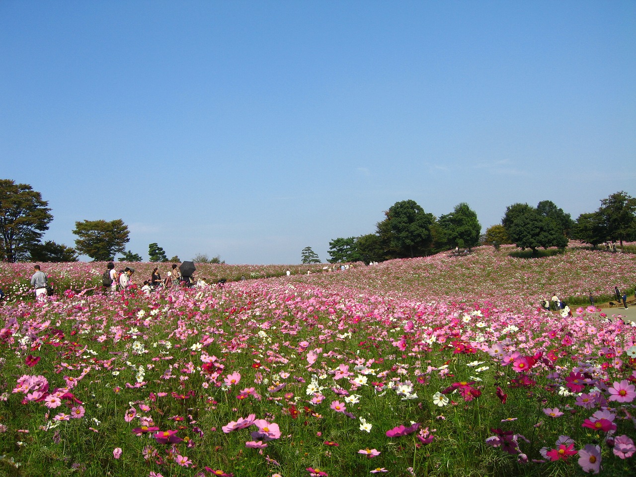 4df680b826ab833f58a35a4857408ad3