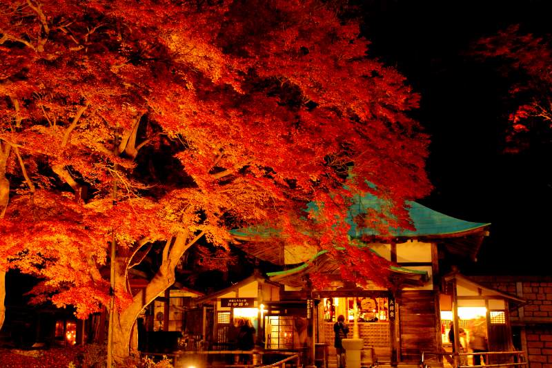 95b7ccfac8e916f90dfb801951357b5629d7c18d_25_2_9_2