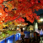 箕面での滝デートがおすすめ!ライトアップした紅葉もご紹介。