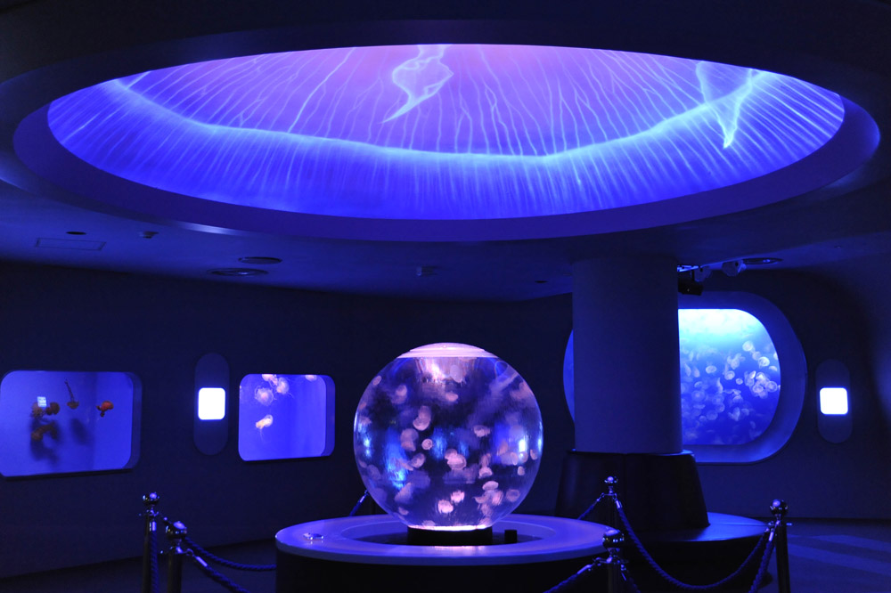 dac75677df079a7c94aac9c75497cde8