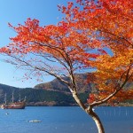 箱根の紅葉!人気おすすめスポットはこちら!