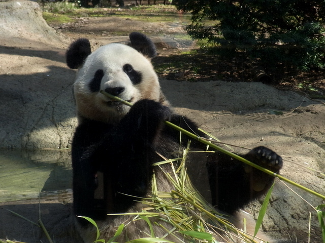 o0640048011139738464