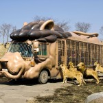 全国の動物園ランキングをご紹介！「これを見ずに動物園には行けない！」