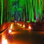 京都で和のクリスマスデートを送ろう！オススメスポット4選。