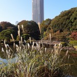 男一人でも楽しい！東京観光スポットはここだ！