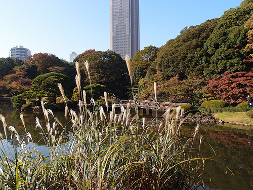 10959864776_e502a7061d