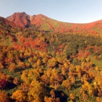 那須高原の紅葉特集!2016年の見頃や穴場情報をお伝えします!