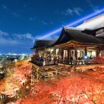 京都で観光しよう!11月のおすすめスポットは美しい紅葉だけじゃない!?