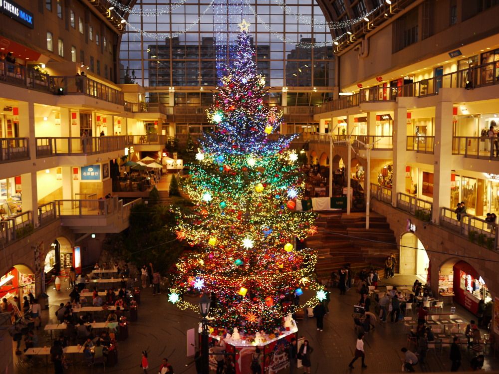 45E5043878CC44AA8F46CAF74520C164_L