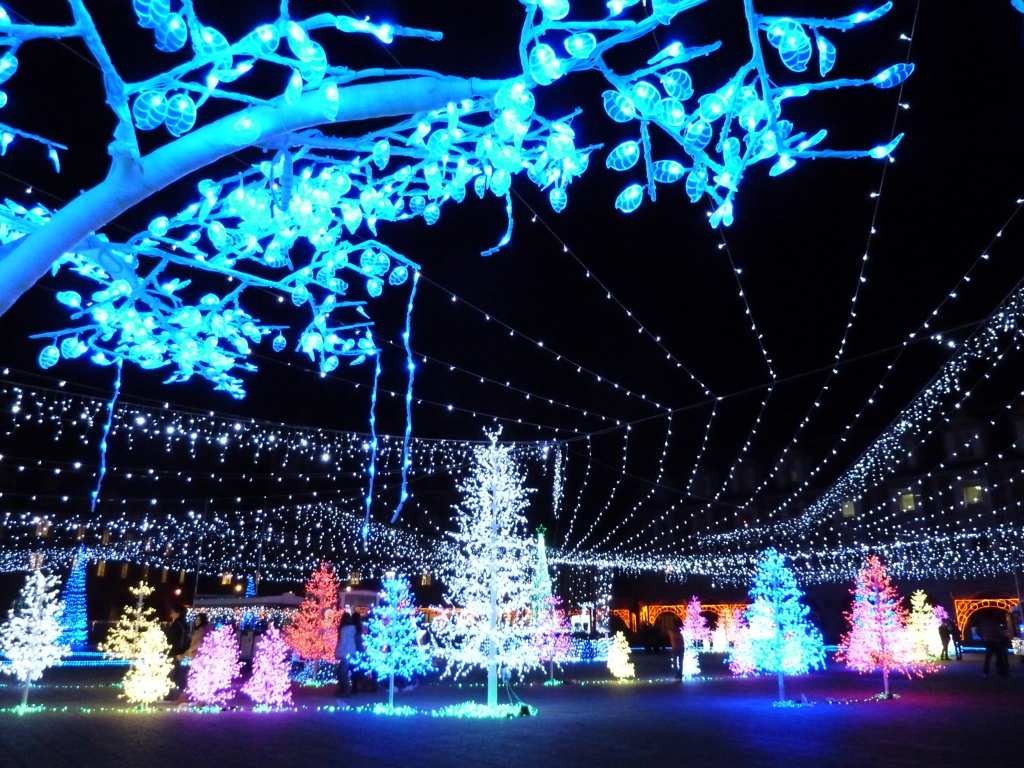 49ef2af7e63b8228afa1c8c16605096a_l