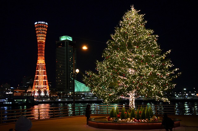 4d6022c9d1539115ab8a7c6f9e95d6fb