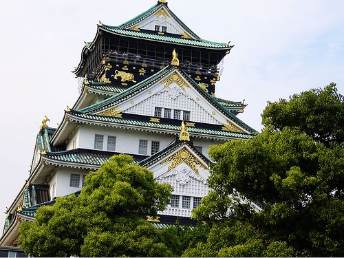 505385427_9197f16a93