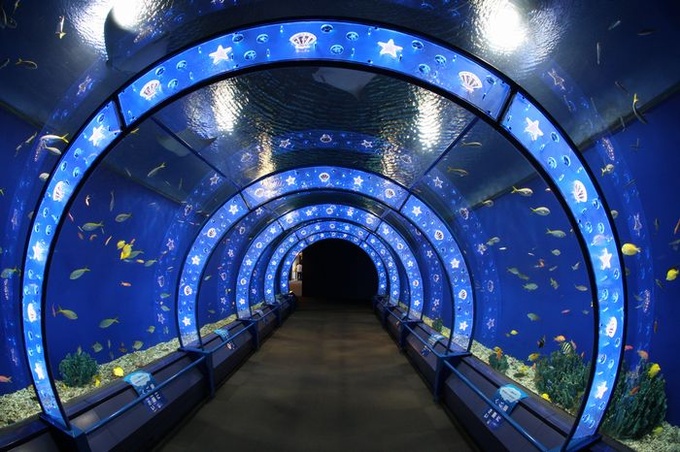 512647200811-9495-4025-b476-494fffefa0df_m