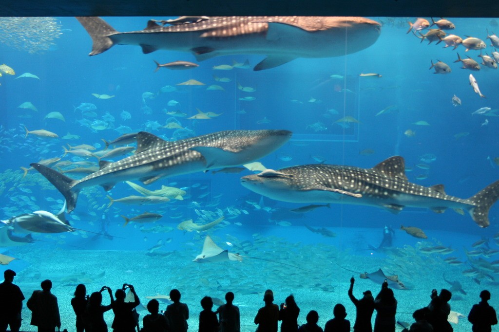 59fe8d4eca64e1fce69bd13d74414ce0_l