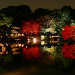 六義園の紅葉!2016年の見頃は11月下旬から。ライトアップはデートにもおすすめ!