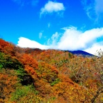日光・いろは坂の紅葉特集!2015年の見頃や渋滞状況についてご紹介!