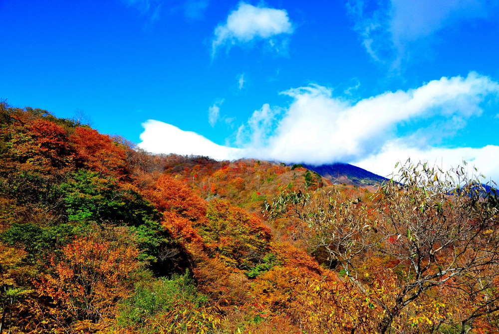 7fdc30a6532fcffc98478f44d98b25a7