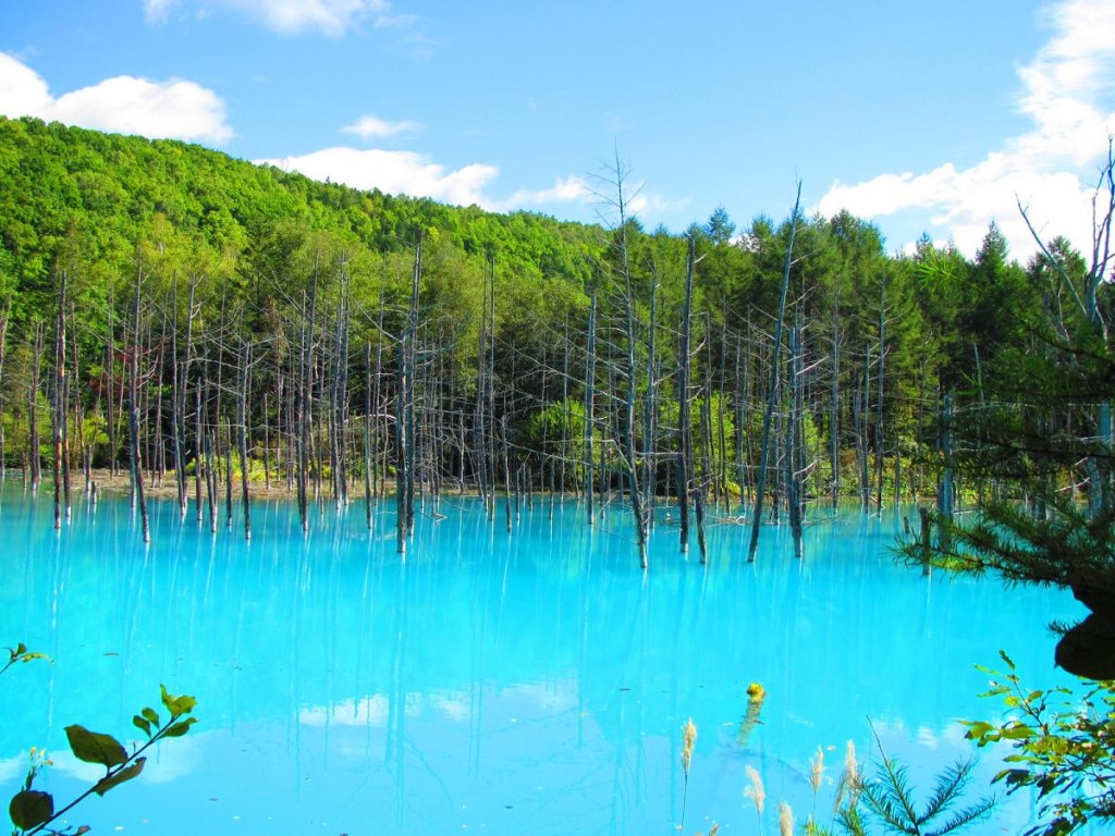 Tr00100420130501180347143