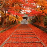 京都の観光はとても素敵!穴場スポット厳選5【秋編】