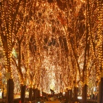 2016年度東北のクリスマスデートはここ!オススメのスポット5選。