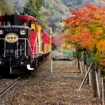 子供連れでも楽しめる！京都の観光地ランキング。