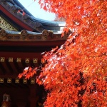 高尾山の紅葉特集!2015年見頃時期やもみじまつりの日程・混雑状況をご紹介。