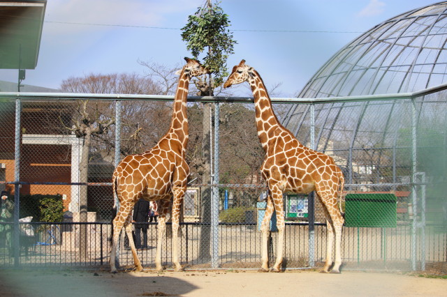 f2c5d23ecb2e141441d9a5e70279fa5d