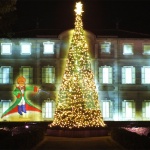 箱根で素敵なクリスマス☆デートスポット厳選4箇所をご紹介。