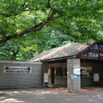 井の頭自然文化園の混雑状況について。井の頭公園の近くの動物園情報をご紹介!