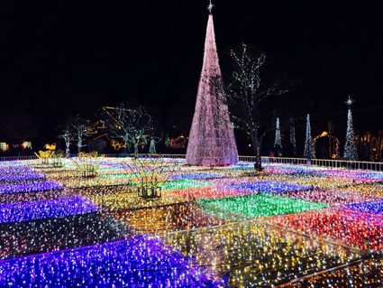 o0425031913167834504