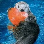 大阪を子供と観光しよう！子連れでも大丈夫な場所ランキング！