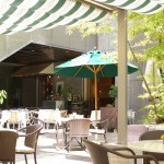 表参道でのランチに感激！おしゃれで美味しいお店をご紹介！