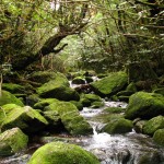 女子の一人旅におすすめのスポットをご紹介【国内編】