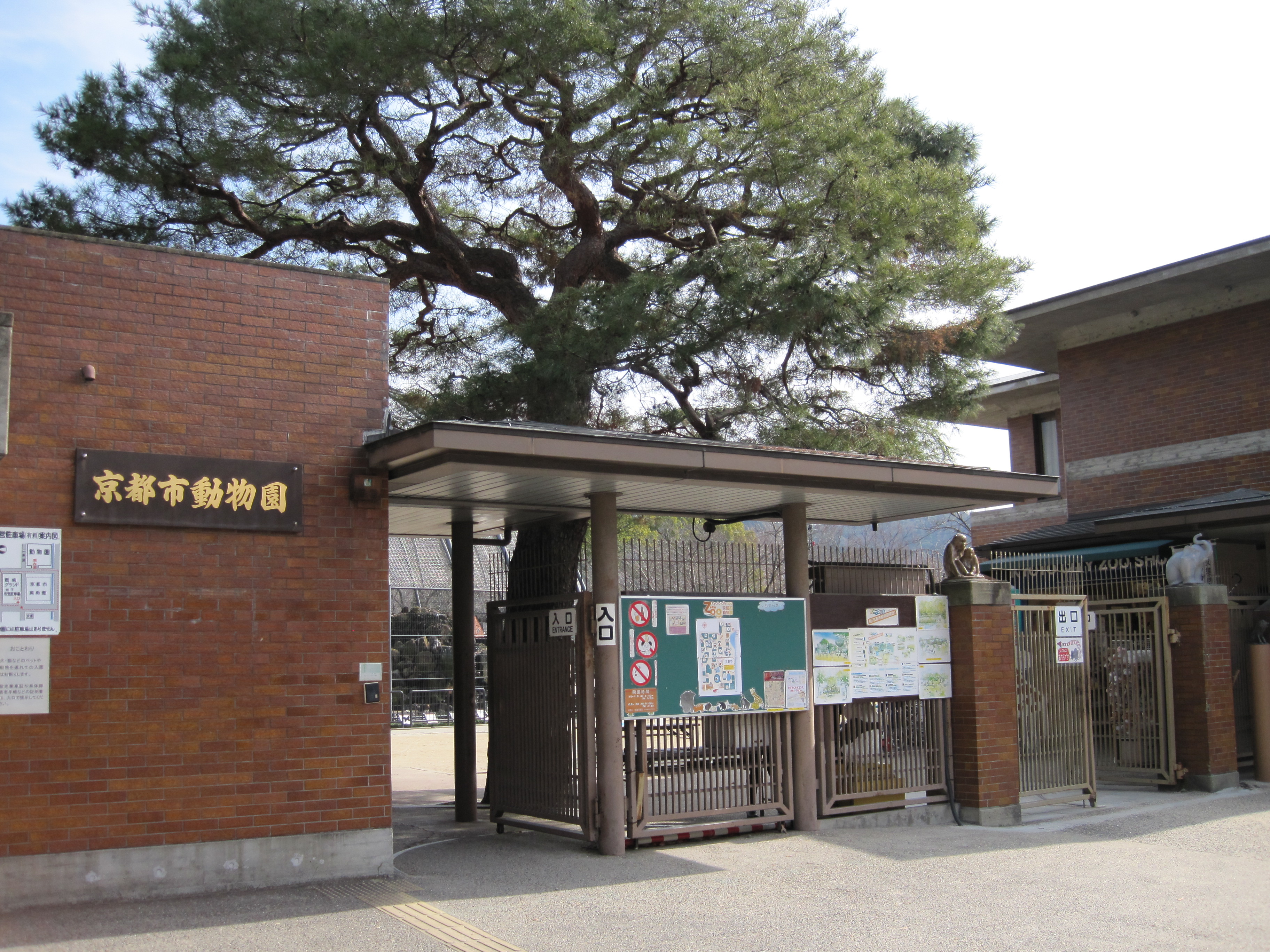 京都市動物園